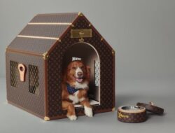 Louis Vuitton Rilis Aksesoris Mewah untuk Anjing Tajir